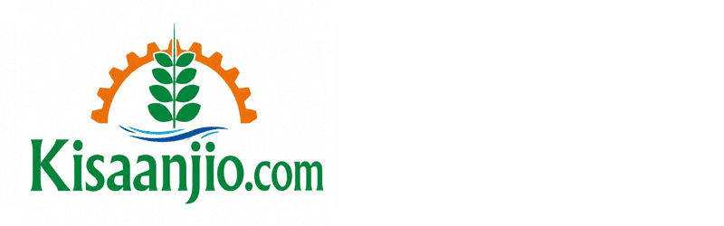 F & P Enterprises